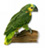 AGRAPHA Animals 6