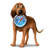 HistoryHound