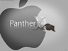PantherX
