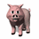 Piggy
