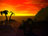 Red Palm