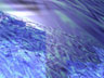 Reflections On A Eutopian Landscape  
