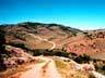 The Long and Winding Road