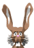RABBIT!