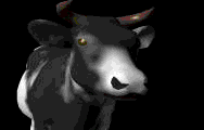 Mad Cow