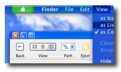 Max Theme