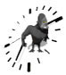 Monkie Time