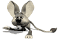 Rat