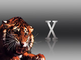 X Tiger